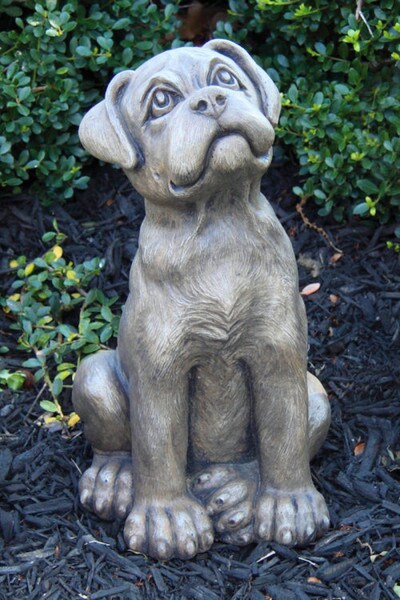 Boxer Puppy Dog Cement Sculpture Adorable Face Big Eyes Decor